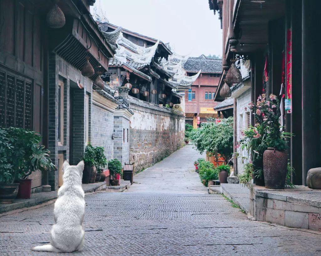 巫师之徒